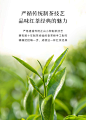 八马茶叶 武夷山正山小种红茶罐装茶叶散装自饮装80克-tmall.com天猫