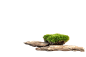 树皮和苔藓 有机化妆品的抽象平台 用于展示和展览的天然展位