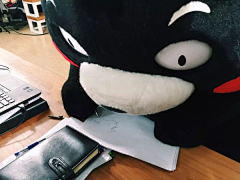 凉风子采集到霓虹·KUMAMON