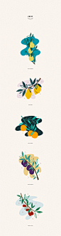 Leaf projects | Behance 上的照片、视频、徽标、插图和品牌