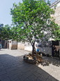 IMG_20210501_142918