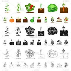 蔬菜,植物,计算机图标,漫画,农业,西瓜,豌豆,西红柿,品牌名称,收集