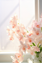 white orchids on a white window sill stock photo 20, in the style of kawaii aesthetic, books and portfolios, light pink and light orange, 3840x2160, romantic themes, meticulous design, pink and green