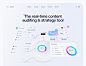 AI Web dashboard : The real-time content auditing & strategy tool. 