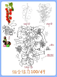 【100天带练】插画基础练习-圣女果篇49/100 - 小红书
