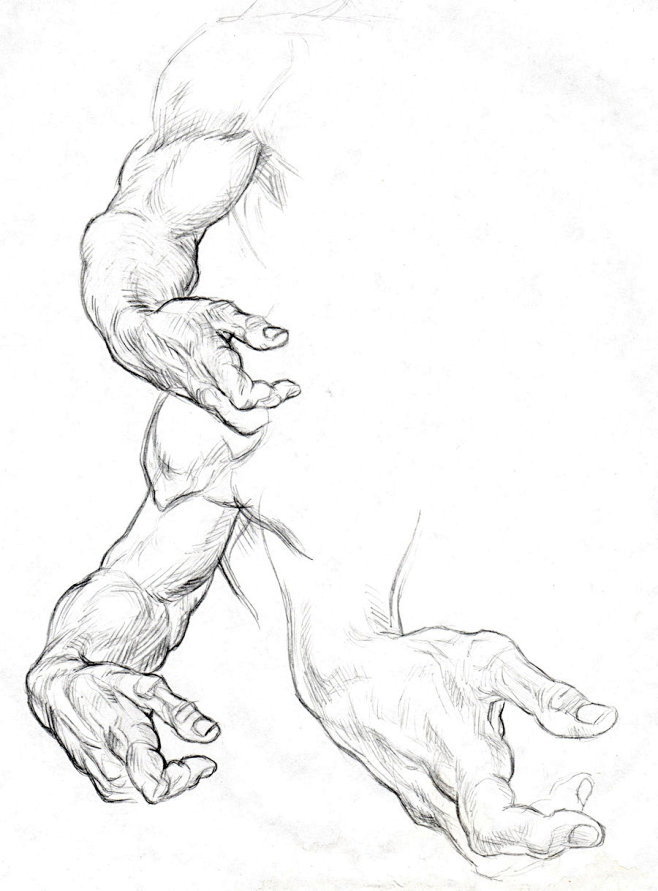 ARM AND HAND STUDIES...