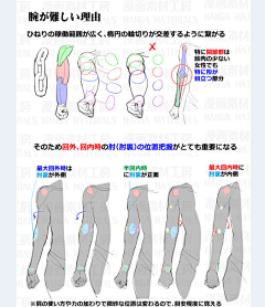 抄就完事了233采集到人体结构 手