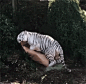 #不一样的大猫# 饲养员给了老虎一个大纸箱，老虎看到后...... ​​​​江山易改，猫性难移！ ​​​​