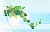 高启强的鱼采集到质感产品渲染