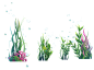 海草