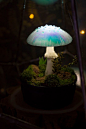 虹彩蘑菇小夜灯