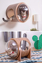 DIY cat house ideas for indoor & outdoor for all cat lovers #cat #animals