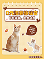 可爱萌宠猫活动公告小红书封面配图
