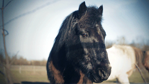 花瓣chrome扩展采集于2015-09-02 22:34:41特别善于拍摄动态图,用gif