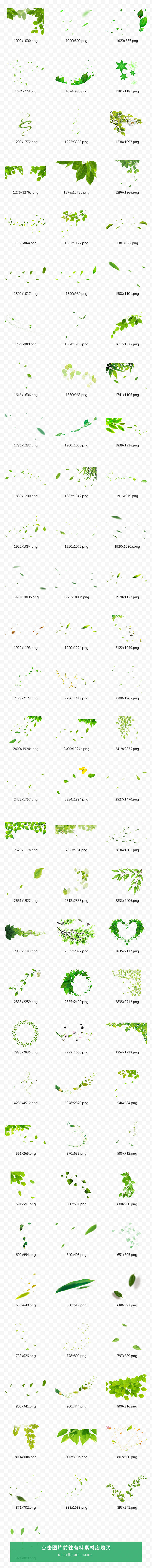 【有料素材】春天绿色绿叶树叶植物动态清新...