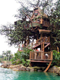 Amazing Snaps: Beautiful Tree House