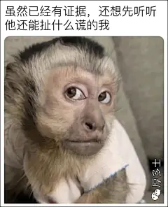 meme（梗图）图片大全-meme（梗图）高清好看的图片--花瓣超级无敌窝窝头的画板