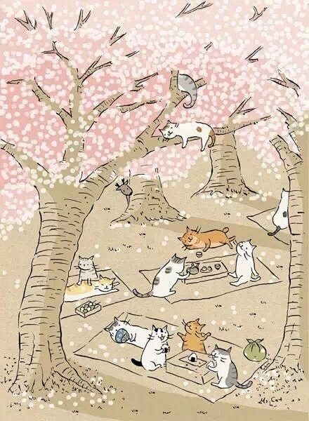 台湾插画师猫小姐的浮世绘风格猫咪插画，创...