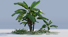 贝克街老猫采集到植物