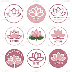 莲花开花的图标和标志。