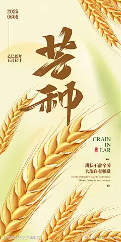 芒种节气海报_源文件下载_AI格式_750X1500像素-成熟,麦穗,节气,芒种,夏天,夏日,插画-作品编号:2025060413016585-志设-zs9.com