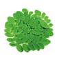 PNG免扣 透明素材 槐树叶