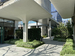 Massarotto采集到示范区