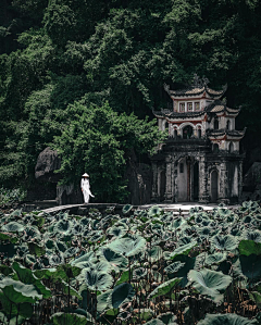 木韦采集到美景