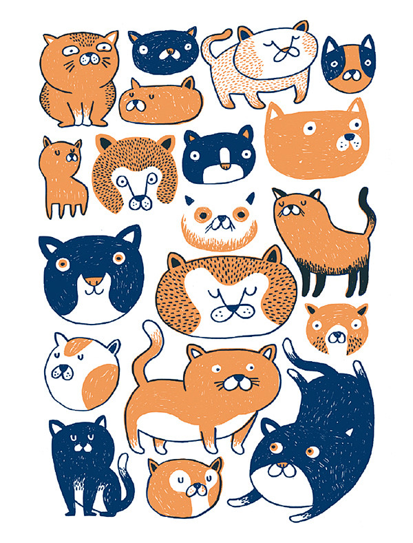 Cats : Cucufato, "gy...