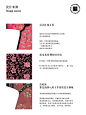 Forbidden City Tea Cup – Packaging Of The World