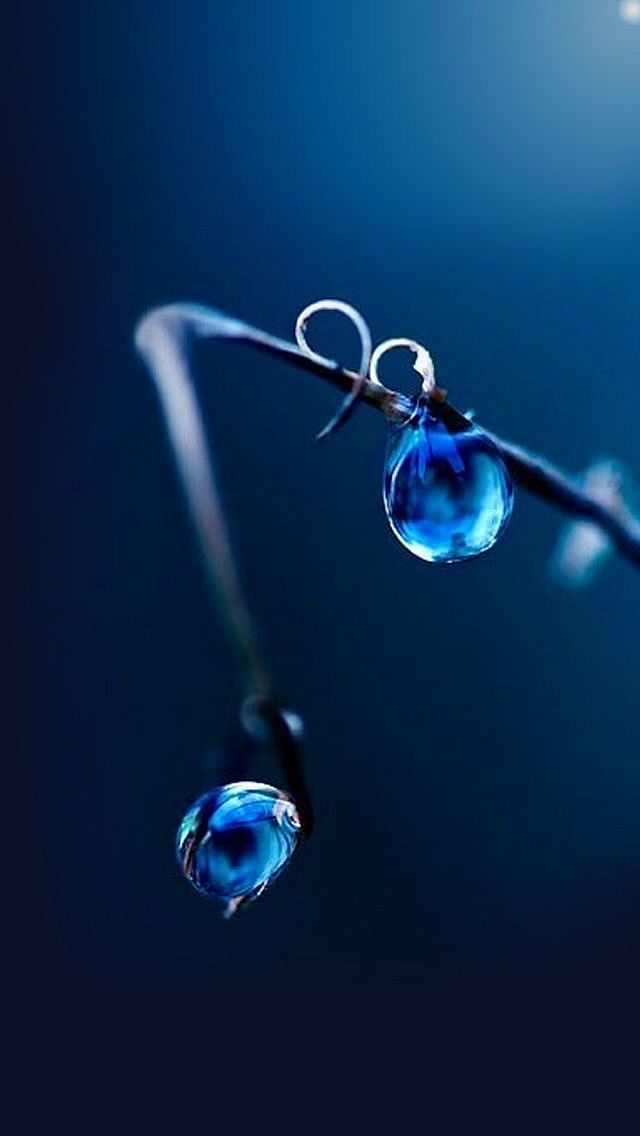 blue drops