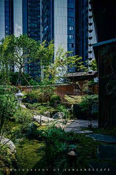 鬼画桃采集到庭院