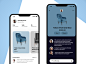 App for buying or selling second hand furniture adobe illustrator adobe xd visual design typography interaction design color icon ux vector ui design