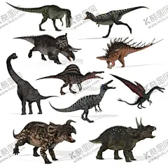 恐龙 【酷图网】恐龙,恐龙海报,恐龙壁纸,恐龙背景,恐龙壁画,侏罗纪墙画,侏罗纪世界,恐龙乐园,恐龙世界,远古生物,侏罗纪,远古冒险,丛林大冒险,恐龙世界门头,森林主题门头,恐龙展,森林总动员,恐龙美陈,丛林主题舞台,远古丛林,恐龙来了,原始森林,远古大冒险,恐龙展览,墙画,3D画,恐龙立体画,恐龙装饰画,