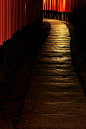 Torri gates of Fushimi Inari Shrine, Kyoto, Japan: photo by Jiro