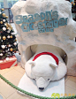 2014年浦东嘉里城北极熊主题圣诞节