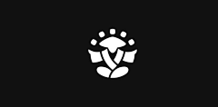 灰树花采集到LOGO