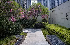 杭州龙湖·滨颂御湖境 造型植物与景墙的几何美学交织成景，层次分明，仿若一幅静谧的艺术画卷，让空间充满了自然的韵律与现代的格调，低调奢华。-花瓣网