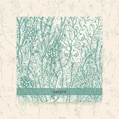 墨水,植物学,绘画插图,动物手,贺卡,地衣,蓝莓,刺柏属丛木,复古风格,草