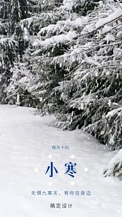 小寒节气祝福实景唯美竖版视频