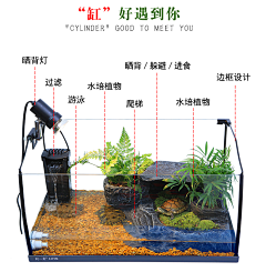 域儿采集到假山景观