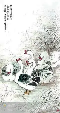 国画家禽百图欣赏 ——《鹅》