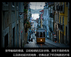 Vase采集到Tram