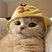 砕けば