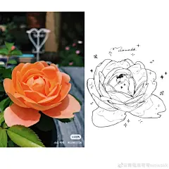 青蔻眉弯弯wawakk的照片 - 微相册