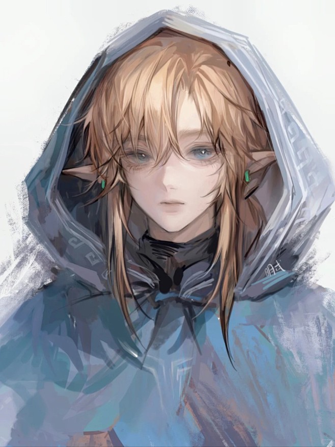 摸摸林克_1_明忒_来自小红书网页版