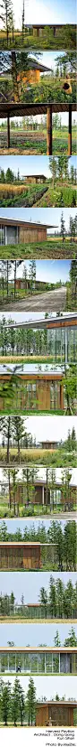 Harvest Pavilion. (采摘亭）