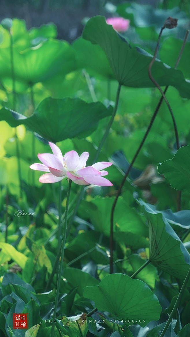 微博 – 随时随地发现新鲜事