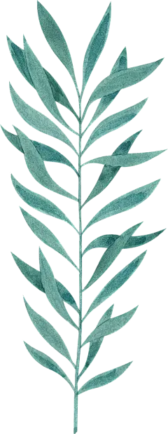 唯美森系树叶手绘绿色植物水彩线稿边框海报背景AI矢量PNG素材