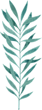 唯美森系树叶手绘绿色植物水彩线稿边框海报背景AI矢量PNG素材